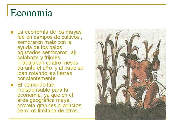 Economía n n La economía de los mayas fue en campos de cultivos ,