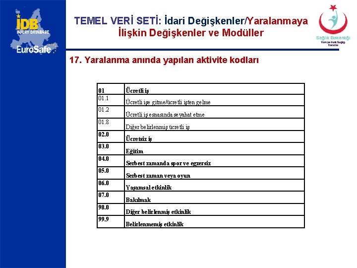 TEMEL VERİ SETİ: İdari Değişkenler/Yaralanmaya İlişkin Değişkenler ve Modüller 17. Yaralanma anında yapılan aktivite