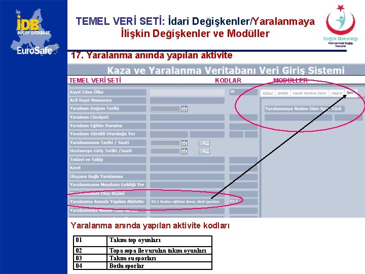 TEMEL VERİ SETİ: İdari Değişkenler/Yaralanmaya İlişkin Değişkenler ve Modüller 17. Yaralanma anında yapılan aktivite