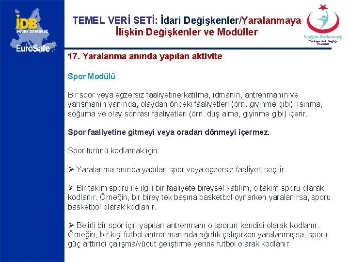 TEMEL VERİ SETİ: İdari Değişkenler/Yaralanmaya İlişkin Değişkenler ve Modüller 17. Yaralanma anında yapılan aktivite