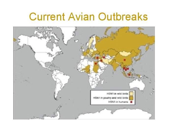 Current Avian Outbreaks 