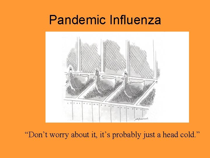 Pandemic Influenza “Don’t worry about it, it’s probably just a head cold. ” 