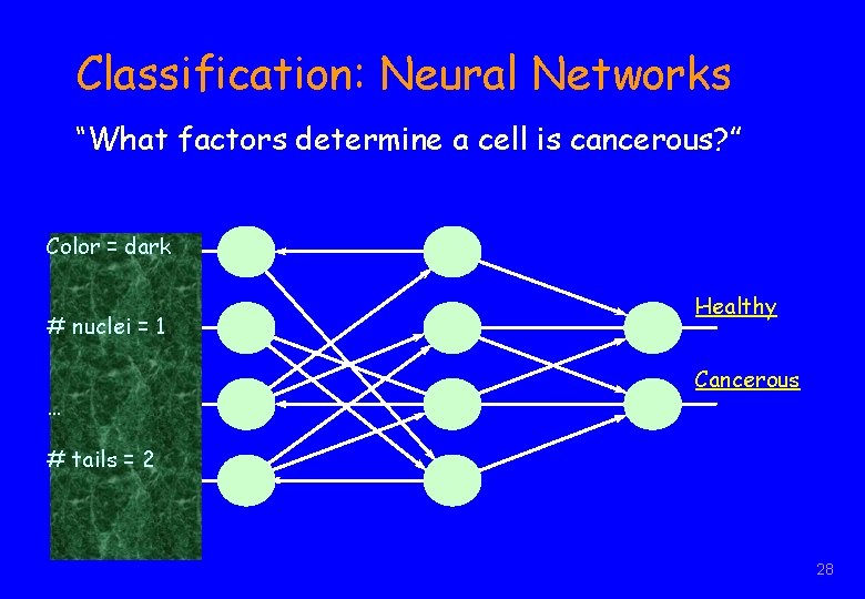 Classification: Neural Networks “What factors determine a cell is cancerous? ” Color = dark
