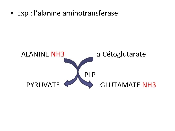  • Exp : l’alanine aminotransferase ALANINE NH 3 α Cétoglutarate PLP PYRUVATE GLUTAMATE