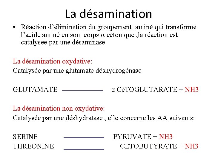 La désamination • Réaction d’élimination du groupement aminé qui transforme l’acide aminé en son