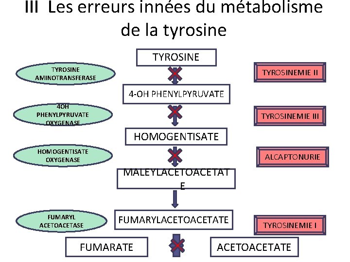 III Les erreurs innées du métabolisme de la tyrosine TYROSINE AMINOTRANSFERASE TYROSINEMIE II 4