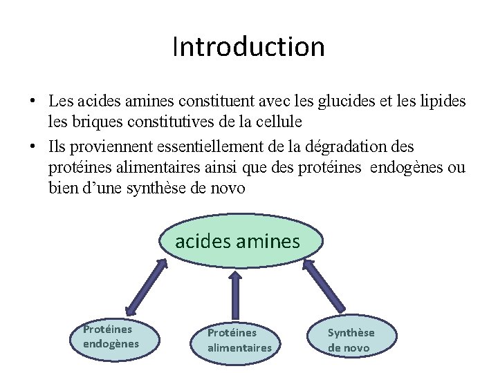 Introduction • Les acides amines constituent avec les glucides et les lipides les briques