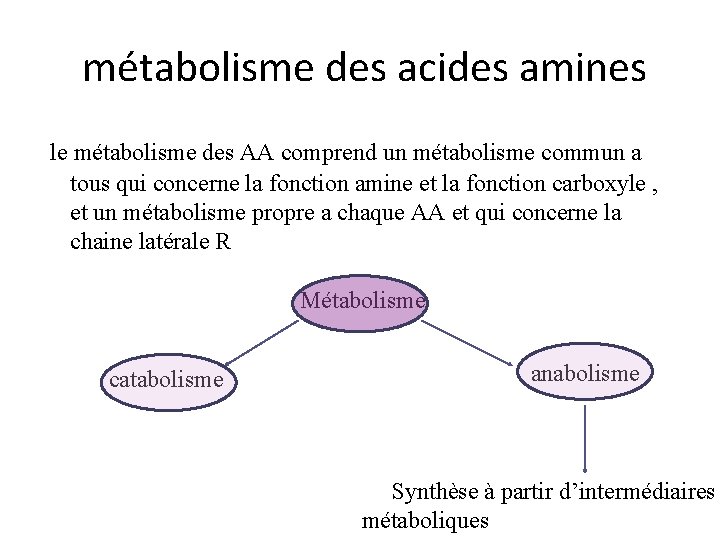 métabolisme des acides amines le métabolisme des AA comprend un métabolisme commun a tous