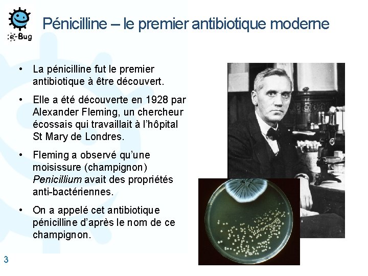  3 Pénicilline – le premier antibiotique moderne • La pénicilline fut le premier