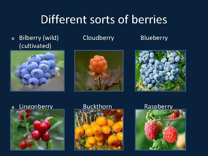 Different sorts of berries Bilberry (wild) (cultivated) Cloudberry Lingonberry Buckthorn Blueberry Raspberry 