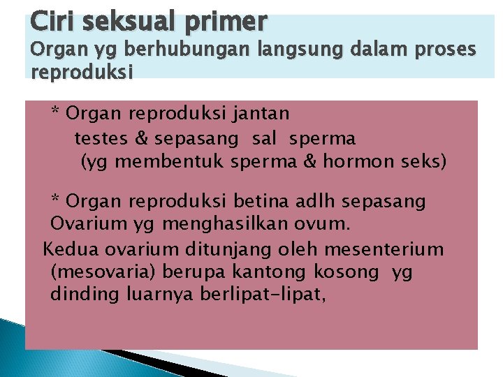 Ciri seksual primer Organ yg berhubungan langsung dalam proses reproduksi * Organ reproduksi jantan