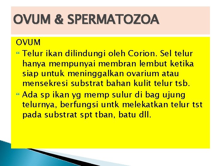 OVUM & SPERMATOZOA OVUM Telur ikan dilindungi oleh Corion. Sel telur hanya mempunyai membran