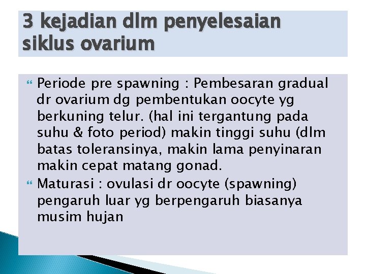 3 kejadian dlm penyelesaian siklus ovarium Periode pre spawning : Pembesaran gradual dr ovarium