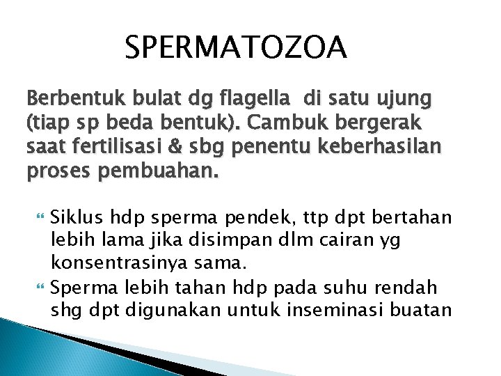 SPERMATOZOA Berbentuk bulat dg flagella di satu ujung (tiap sp beda bentuk). Cambuk bergerak