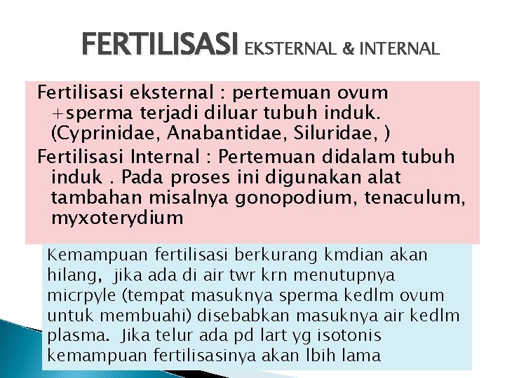 FERTILISASI EKSTERNAL & INTERNAL Fertilisasi eksternal : pertemuan ovum +sperma terjadi diluar tubuh induk.