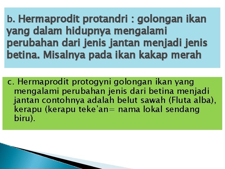 b. Hermaprodit protandri : golongan ikan yang dalam hidupnya mengalami perubahan dari jenis jantan