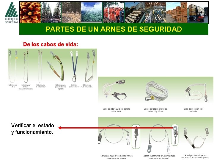 PARTES DE UN ARNES DE SEGURIDAD De los cabos de vida: Verificar el estado