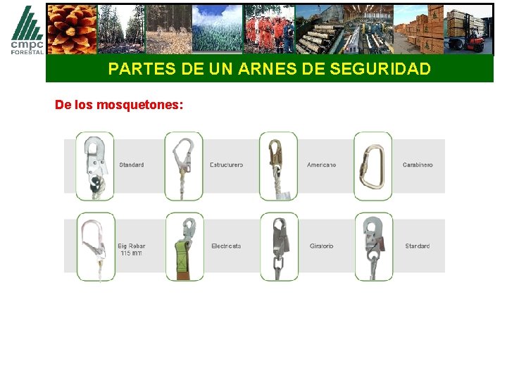 PARTES DE UN ARNES DE SEGURIDAD De los mosquetones: 