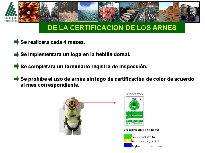 DE LA CERTIFICACION DE LOS ARNES Se realizara cada 4 meses. Se implementara un