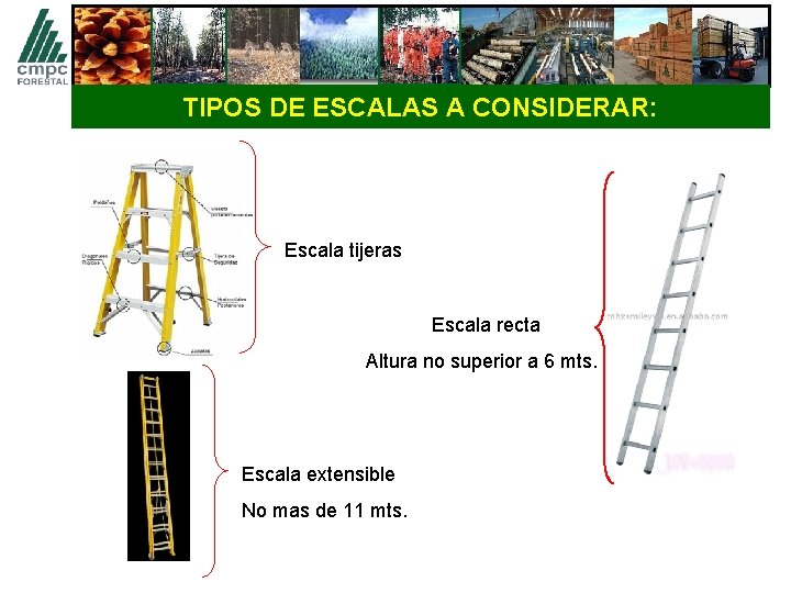 TIPOS DE ESCALAS A CONSIDERAR: Escala tijeras Escala recta Altura no superior a 6