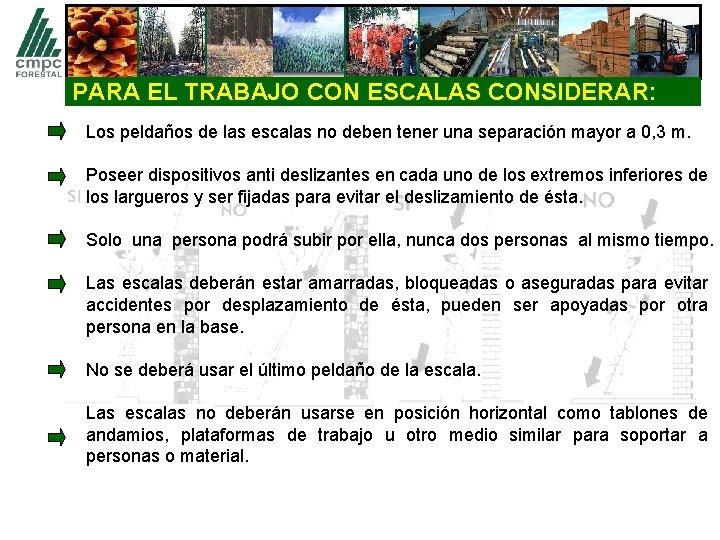 PARA EL TRABAJO CON ESCALAS CONSIDERAR: Los peldaños de las escalas no deben tener
