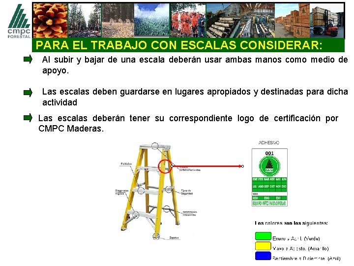 PARA EL TRABAJO CON ESCALAS CONSIDERAR: Al subir y bajar de una escala deberán