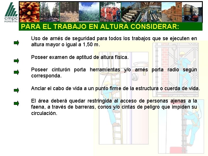 PARA EL TRABAJO EN ALTURA CONSIDERAR: Uso de arnés de seguridad para todos los