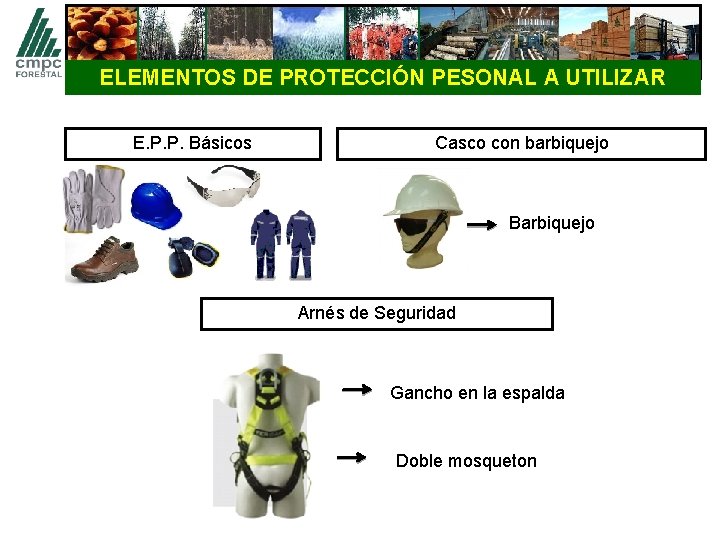 ELEMENTOS DE PROTECCIÓN PESONAL A UTILIZAR E. P. P. Básicos Casco con barbiquejo Barbiquejo