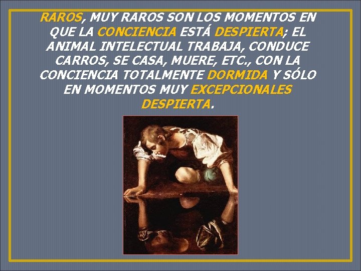 RAROS, MUY RAROS SON LOS MOMENTOS EN QUE LA CONCIENCIA ESTÁ DESPIERTA; EL ANIMAL