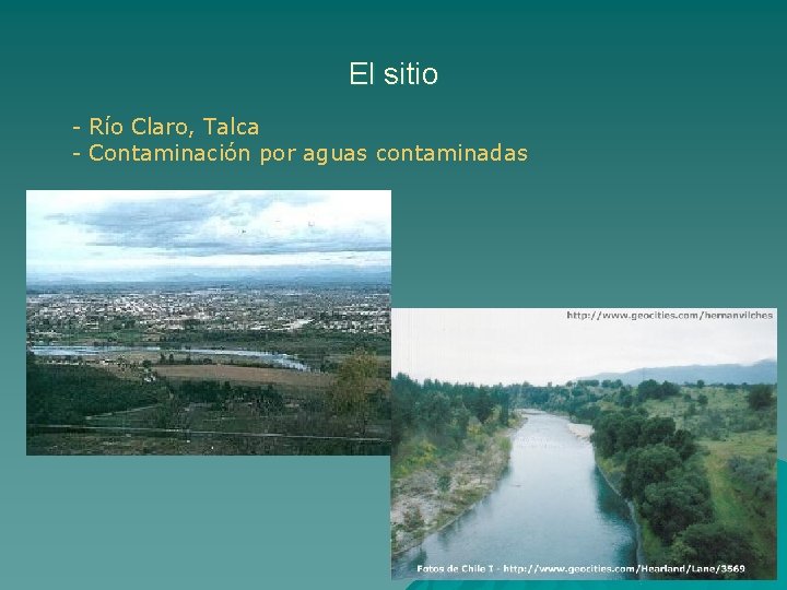 El sitio - Río Claro, Talca - Contaminación por aguas contaminadas 
