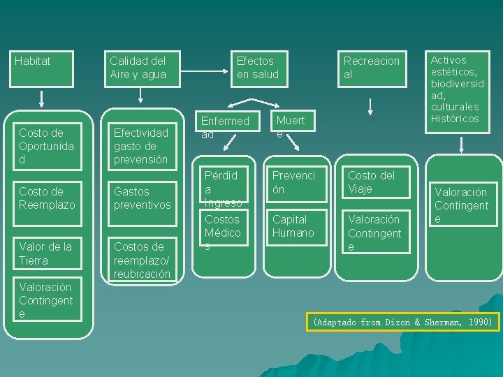 Habitat Costo de Oportunida d Costo de Reemplazo Valor de la Tierra Valoración Contingent