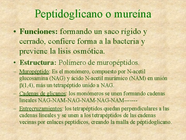 Peptidoglicano o mureína • Funciones: formando un saco rígido y cerrado, confiere forma a