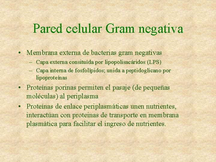 Pared celular Gram negativa • Membrana externa de bacterias gram negativas – Capa externa