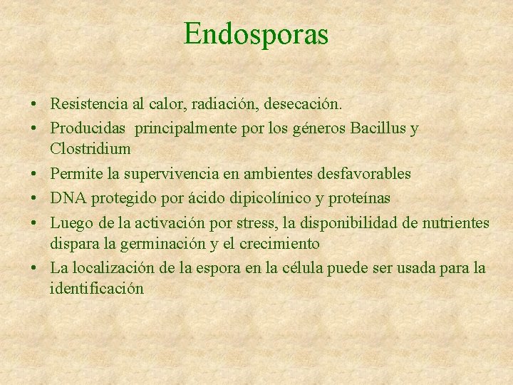 Endosporas • Resistencia al calor, radiación, desecación. • Producidas principalmente por los géneros Bacillus