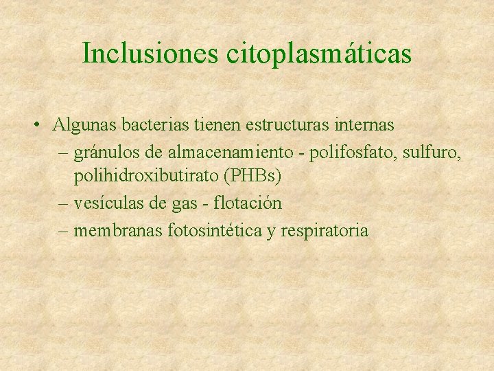 Inclusiones citoplasmáticas • Algunas bacterias tienen estructuras internas – gránulos de almacenamiento - polifosfato,