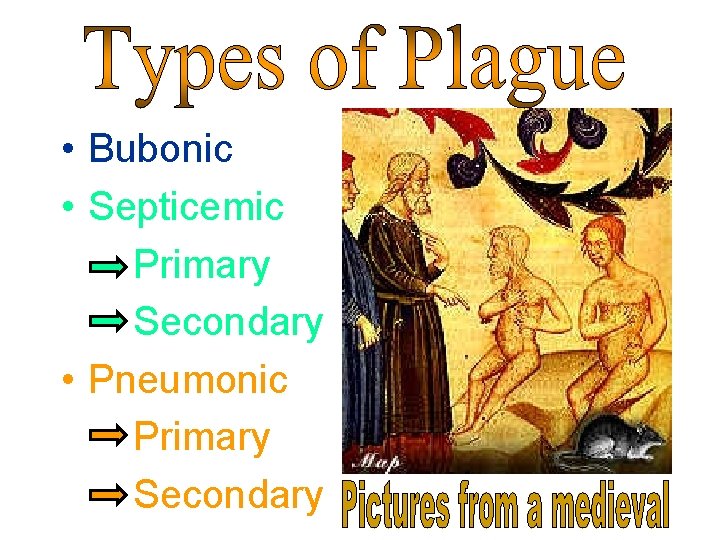  • Bubonic • Septicemic Primary Secondary • Pneumonic Primary Secondary 