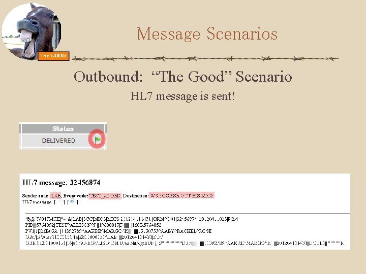 Message Scenarios Outbound: “The Good” Scenario HL 7 message is sent! 