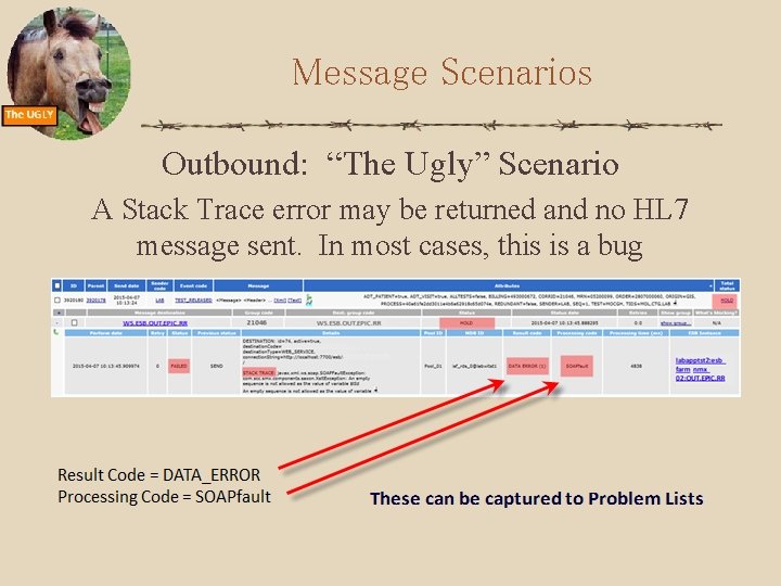 Message Scenarios Outbound: “The Ugly” Scenario A Stack Trace error may be returned and