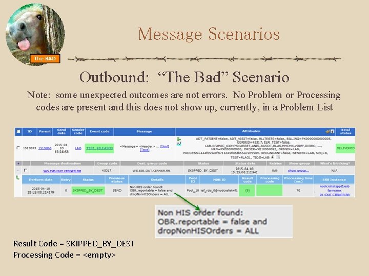 Message Scenarios Outbound: “The Bad” Scenario Note: some unexpected outcomes are not errors. No