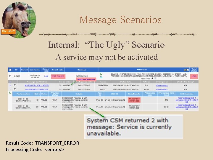 Message Scenarios Internal: “The Ugly” Scenario A service may not be activated Result Code: