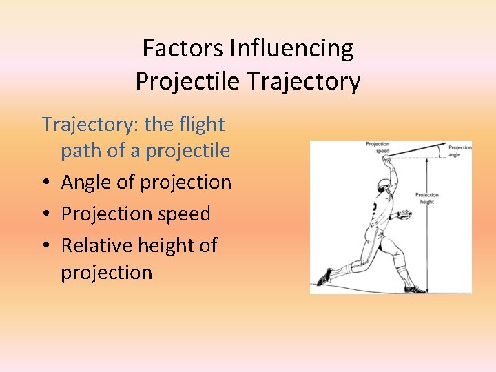 Factors Influencing Projectile Trajectory: the flight path of a projectile • Angle of projection