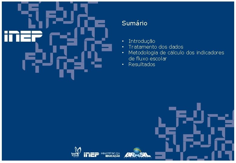 Sumário • • Introdução Tratamento dos dados Metodologia de cálculo dos indicadores de fluxo