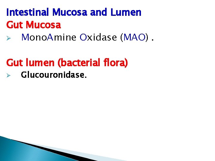 Intestinal Mucosa and Lumen Gut Mucosa Ø Mono. Amine Oxidase (MAO). Gut lumen (bacterial