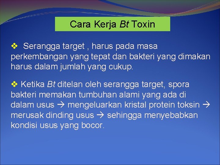 Cara Kerja Bt Toxin v Serangga target , harus pada masa perkembangan yang tepat