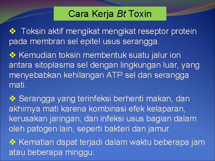 Cara Kerja Bt Toxin v Toksin aktif mengikat reseptor protein pada membran sel epitel