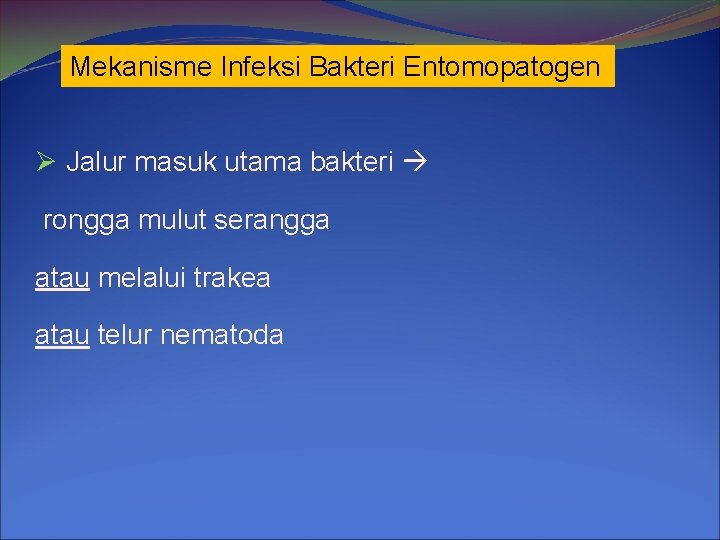 Mekanisme Infeksi Bakteri Entomopatogen Ø Jalur masuk utama bakteri rongga mulut serangga atau melalui