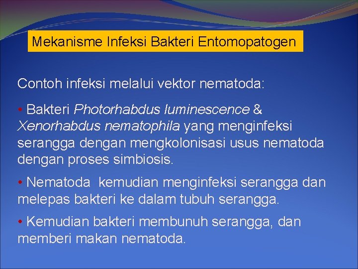 Mekanisme Infeksi Bakteri Entomopatogen Contoh infeksi melalui vektor nematoda: • Bakteri Photorhabdus luminescence &