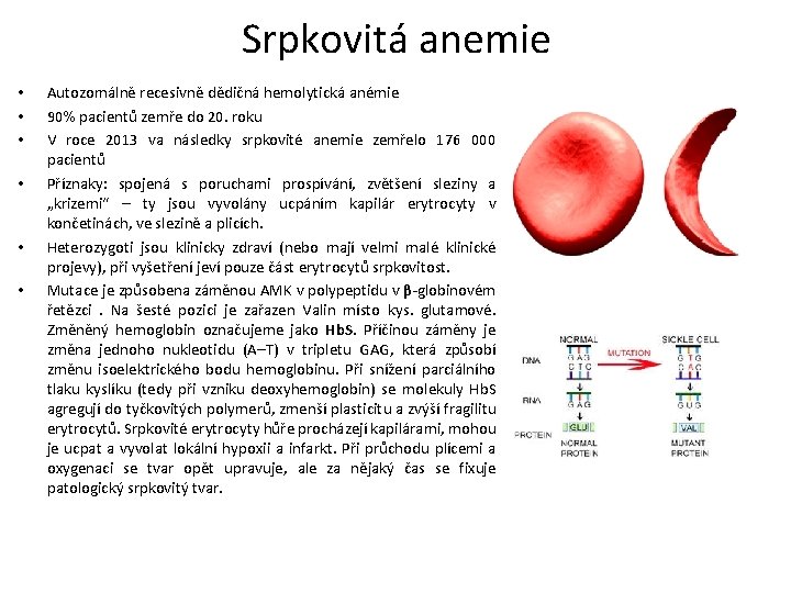 Srpkovitá anemie • • • Autozomálně recesivně dědičná hemolytická anémie 90% pacientů zemře do