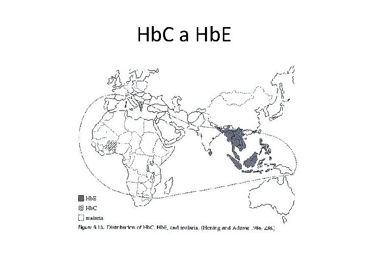 Hb. C a Hb. E 
