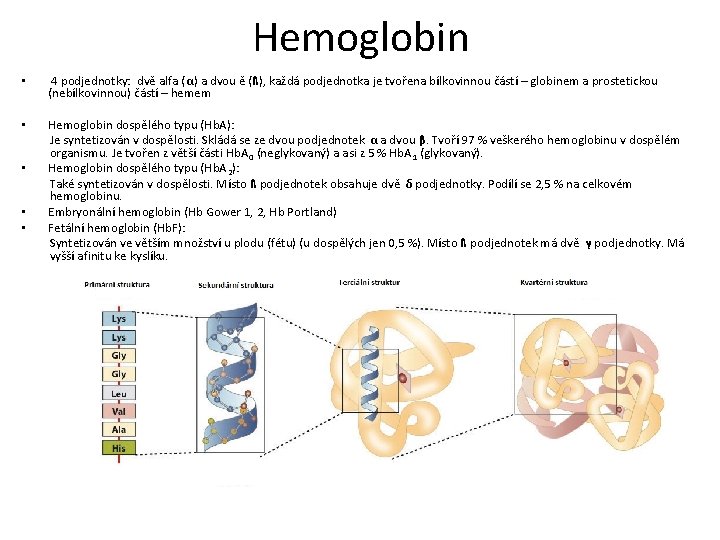 Hemoglobin • 4 podjednotky: dvě alfa (α) a dvou ě (ß), každá podjednotka je